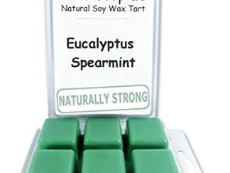 Eucalyptus Spearmint Wax Melts by Candlecopia®, 2 Pack