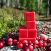 Cranberry Woods Wax Melts by Candlecopia®, 2 Pack - Image 3