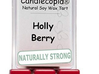 Holly Berry Wax Melts by Candlecopia®, 2 Pack