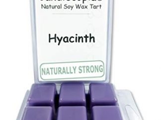 Hyacinth Wax Melts by Candlecopia®, 2 Pack