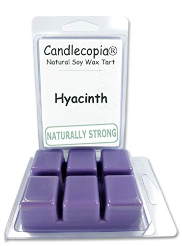 Hyacinth Wax Melts by Candlecopia®, 2 Pack