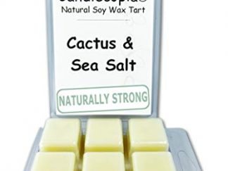 Cactus & Sea Salt Wax Melts by Candlecopia®, 2 Pack