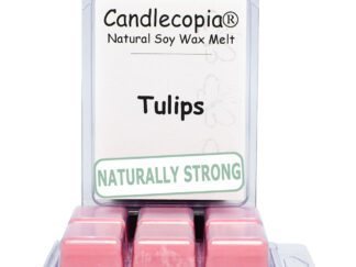 Tulips Wax Melts by Candlecopia®, 2 Pack