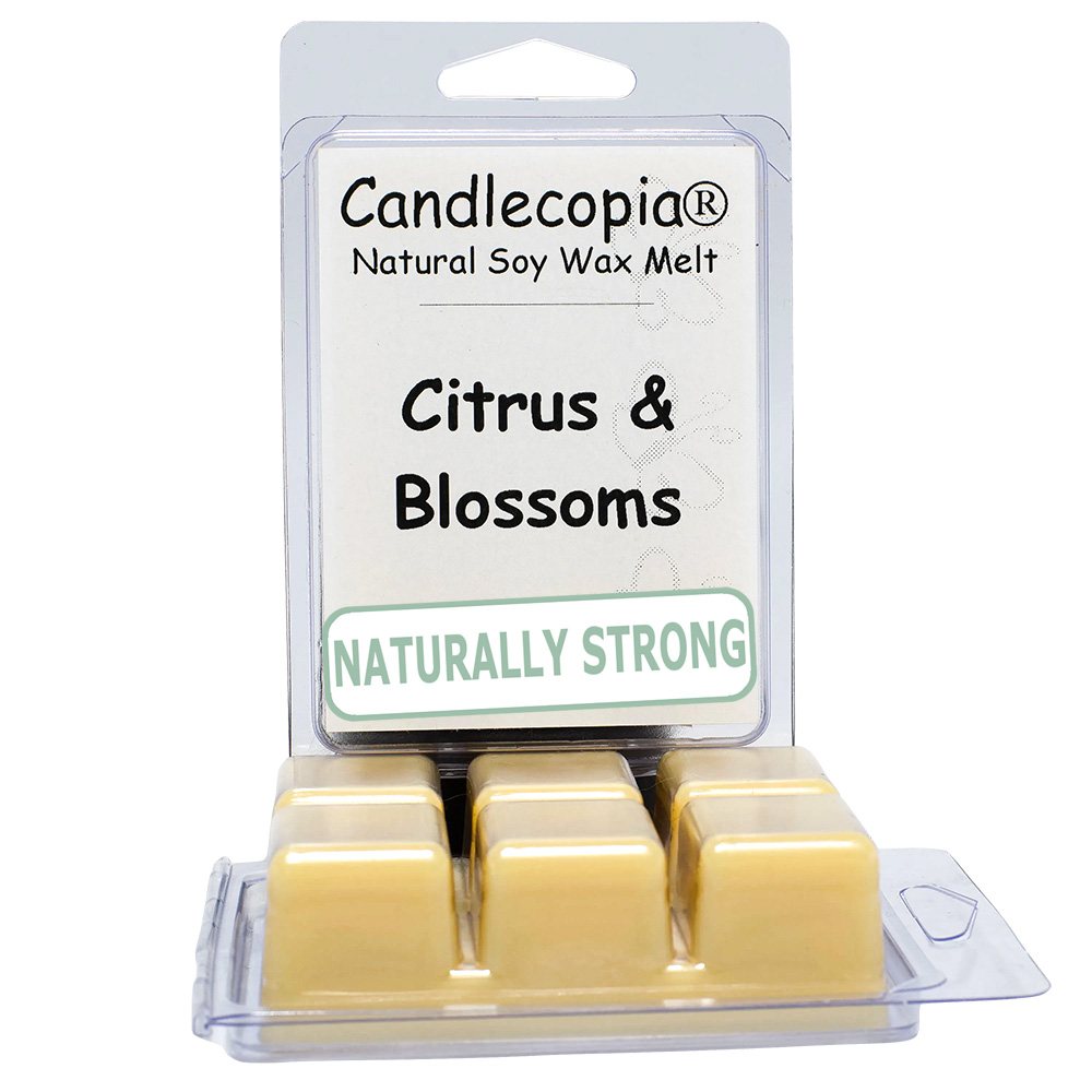 Citrus & Blossoms Wax Melts by Candlecopiaยฎ, 2 Pack